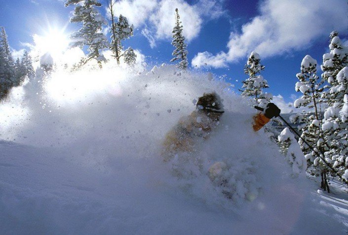 Face shot of powder